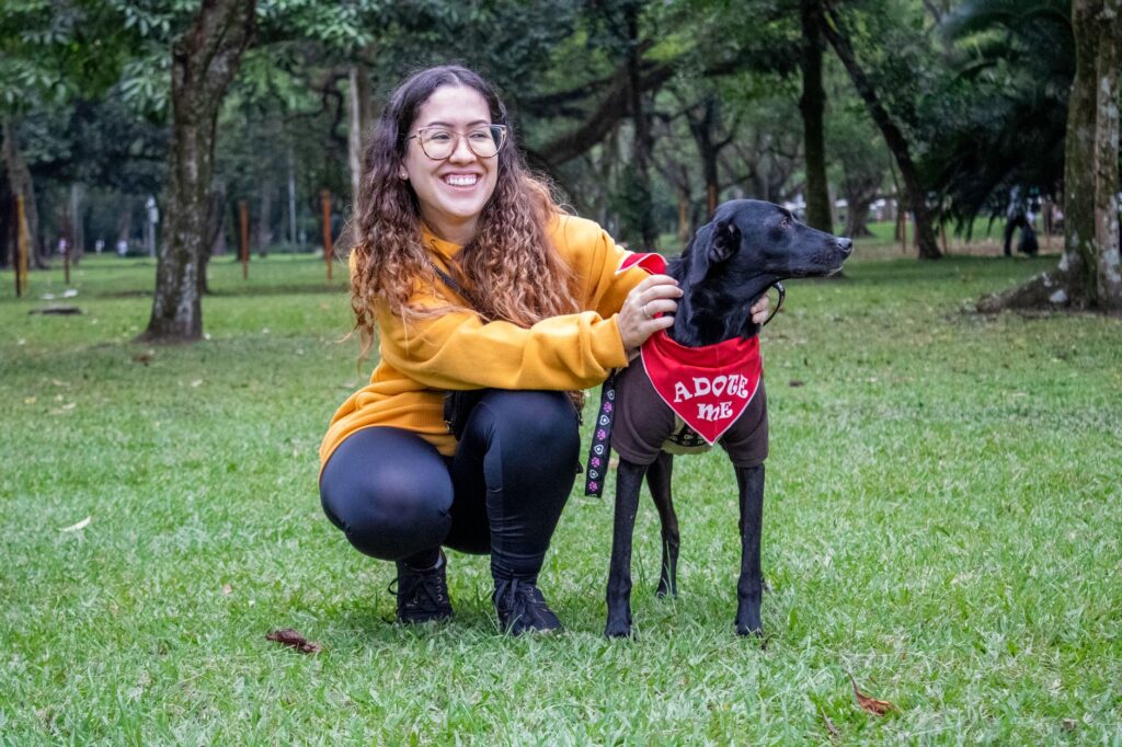 how to foster dogs