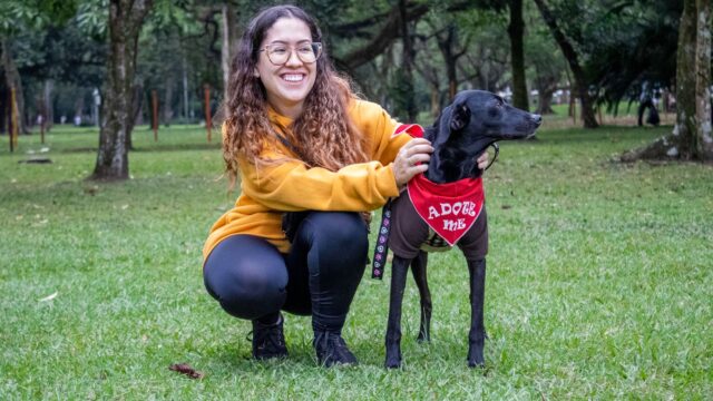 how to foster dogs