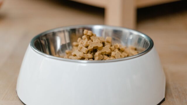 open farm goodgut dog food review