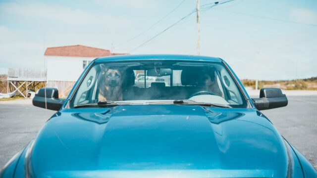 top dog car seats for safe and comfortable rides