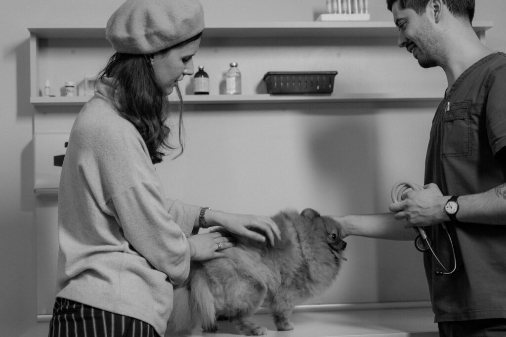 understanding biopsy for dogs